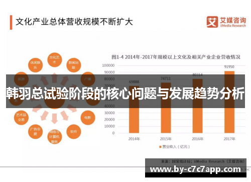 韩羽总试验阶段的核心问题与发展趋势分析